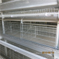 Niedriger Preis von Chicken Layer Cage System mit ISO9001